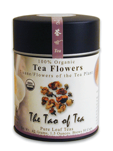Hibiscus  The Tao Of Tea
